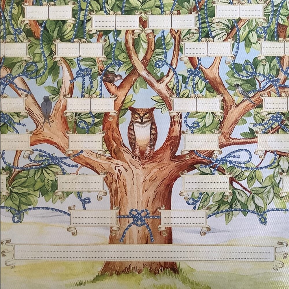 NWOT Genealogy / Family Tree Writable Paper Wall Chart - Picture 2 of 6